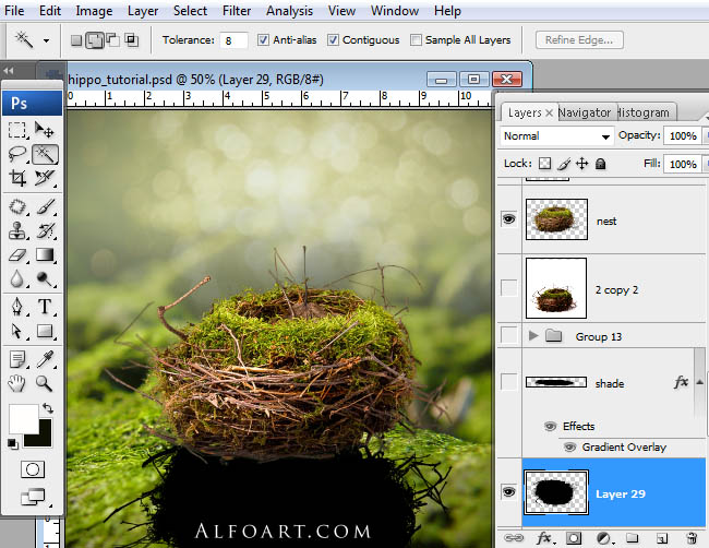 hippo, photoshop, nest, egg, shell, flying hippo, cute, baby, wings, hippopotamus, feathers